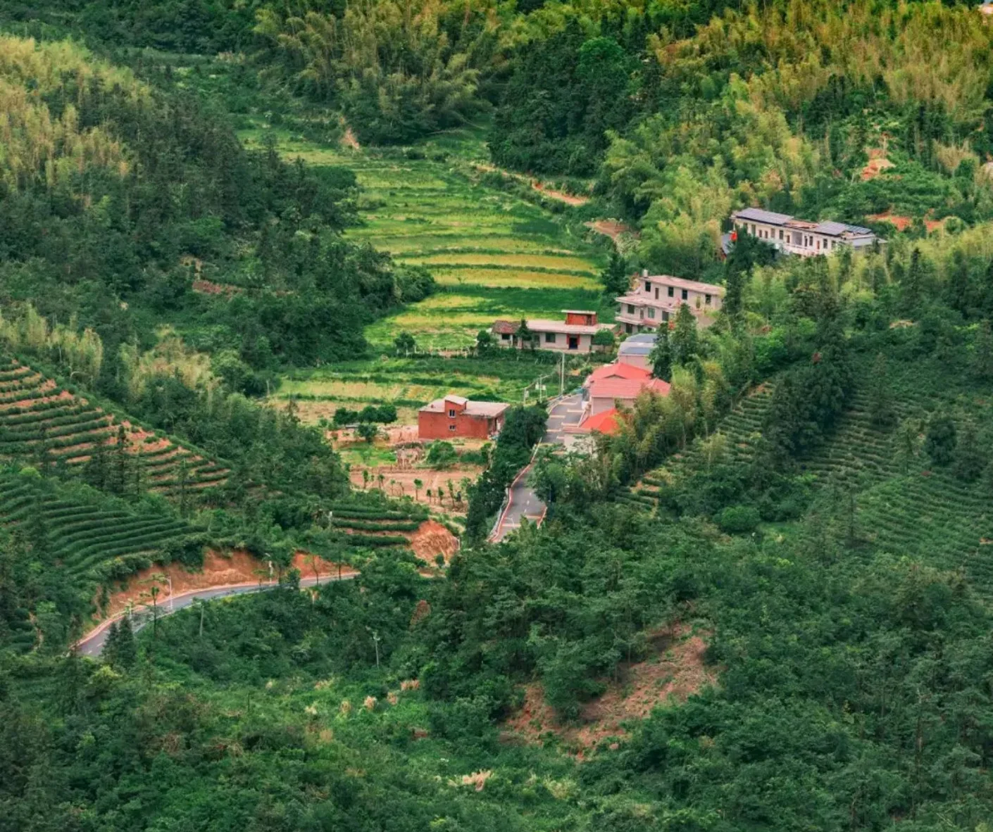 Best Advice for Exploring Meiling National Scenic Area