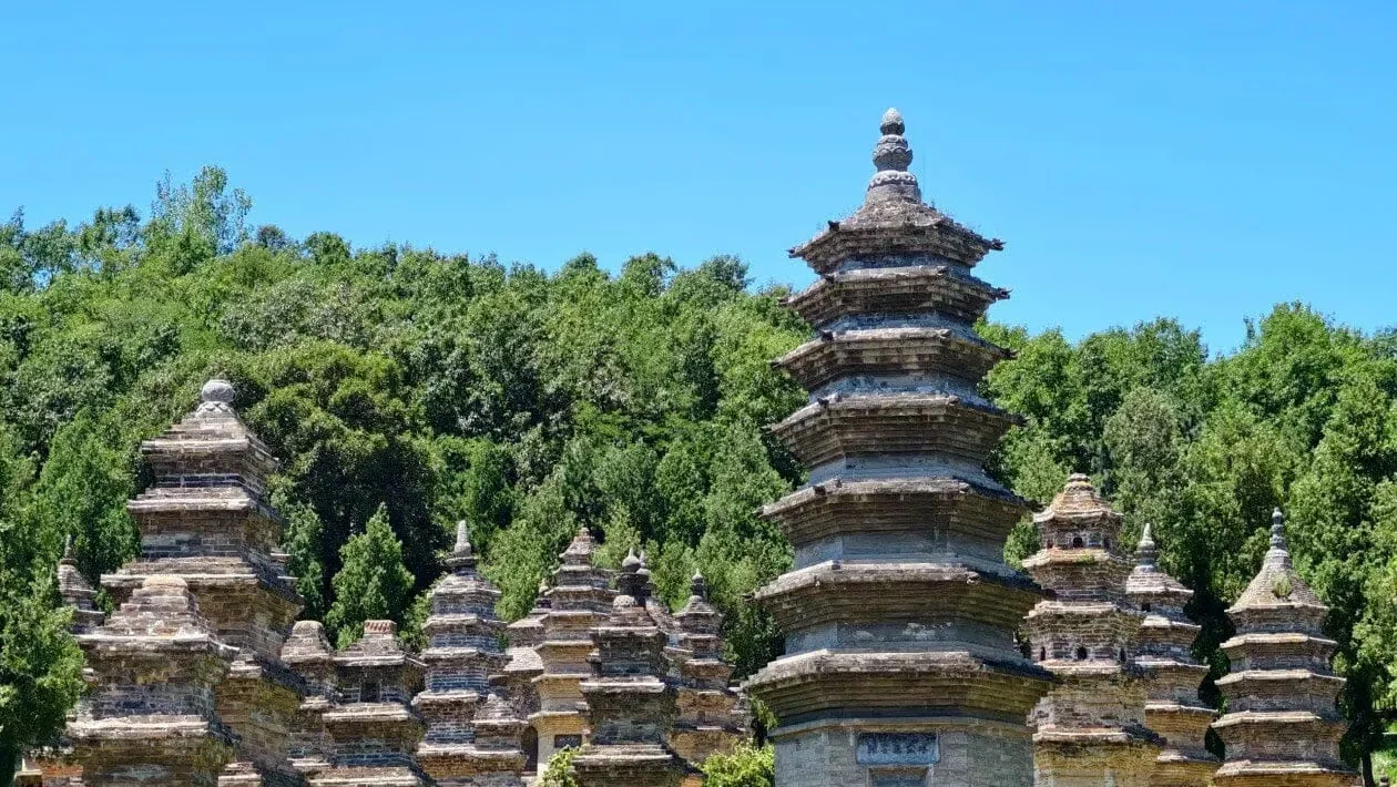 How to Visit Shaolin Temple Pagoda Forest with Expert Tips