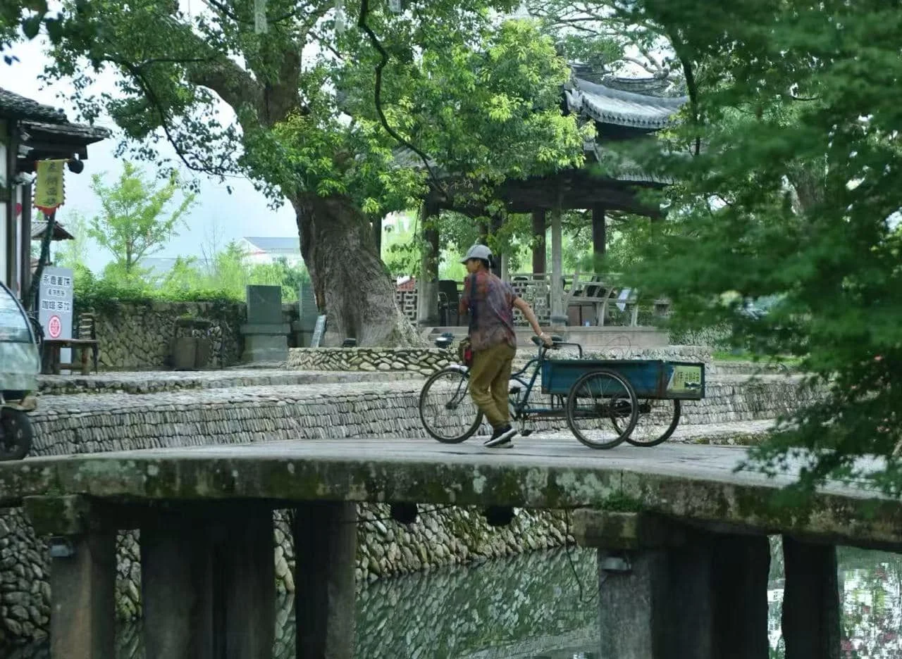 How to Explore Wenzhou Nanxi River Scenic Area
