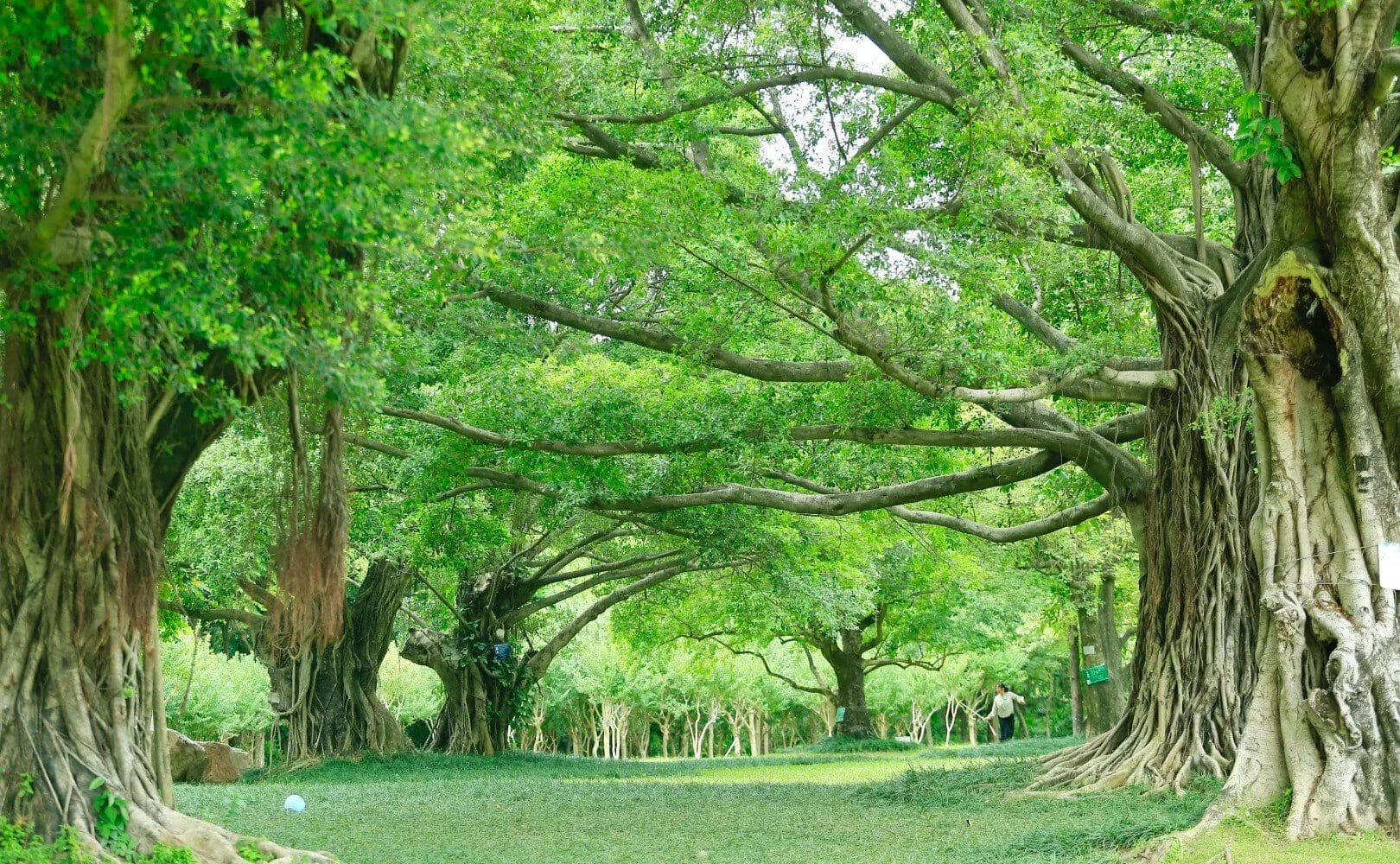 Essential Tips for Visiting Nanhu Lake Park in Nanning
