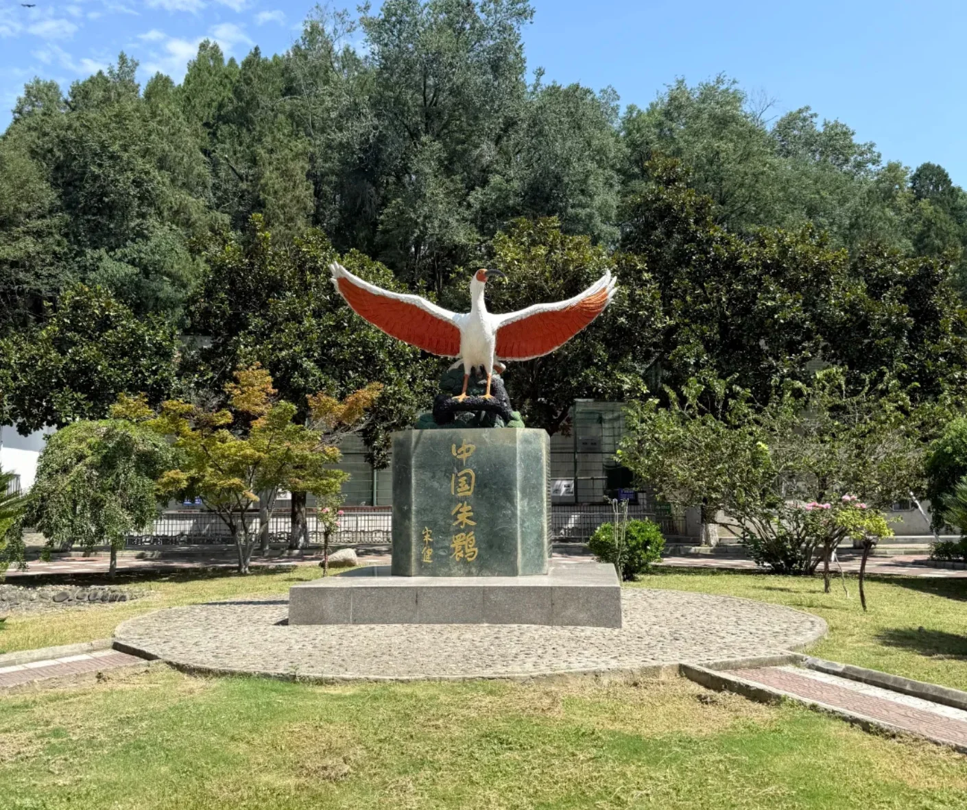 Discover the Beauty of Hanzhong Crested Ibis Nature Reserve