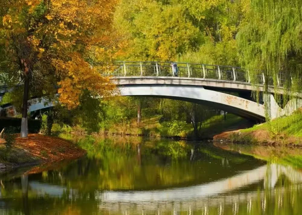 Tips for Visiting Xi’an Chanba National Wetland Park with Family
