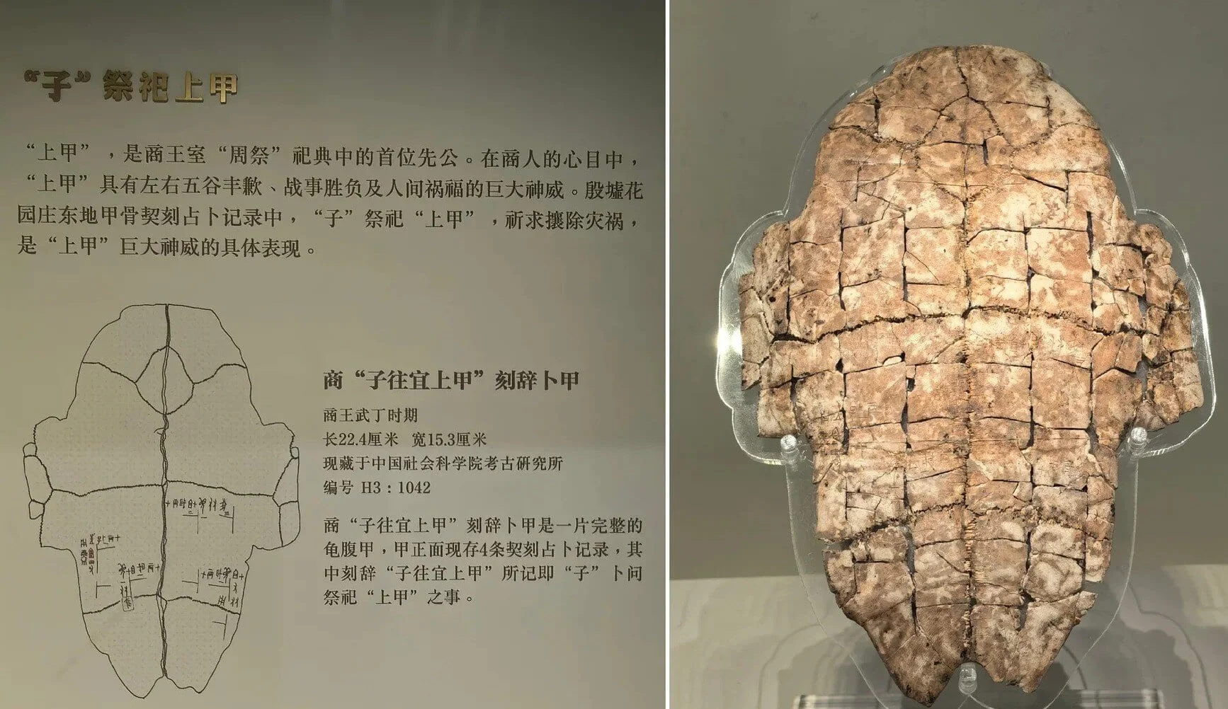 Anyang Museum Essentials Location, Hours, and Insider Advice