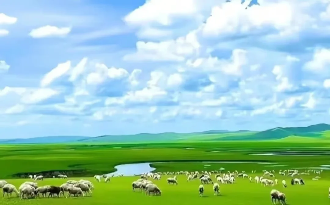 Hulunbuir Grassland Activities and Local Experiences Guide
