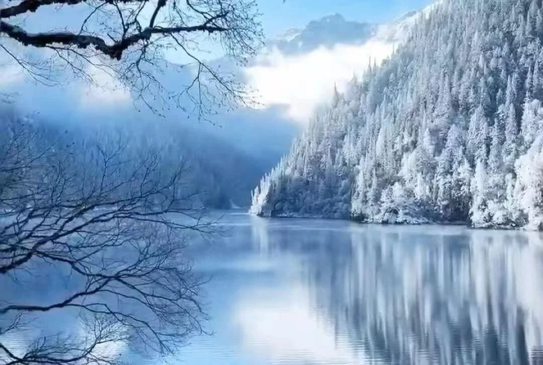 Essential Tips for Visiting Bipenggou in Sichuan
