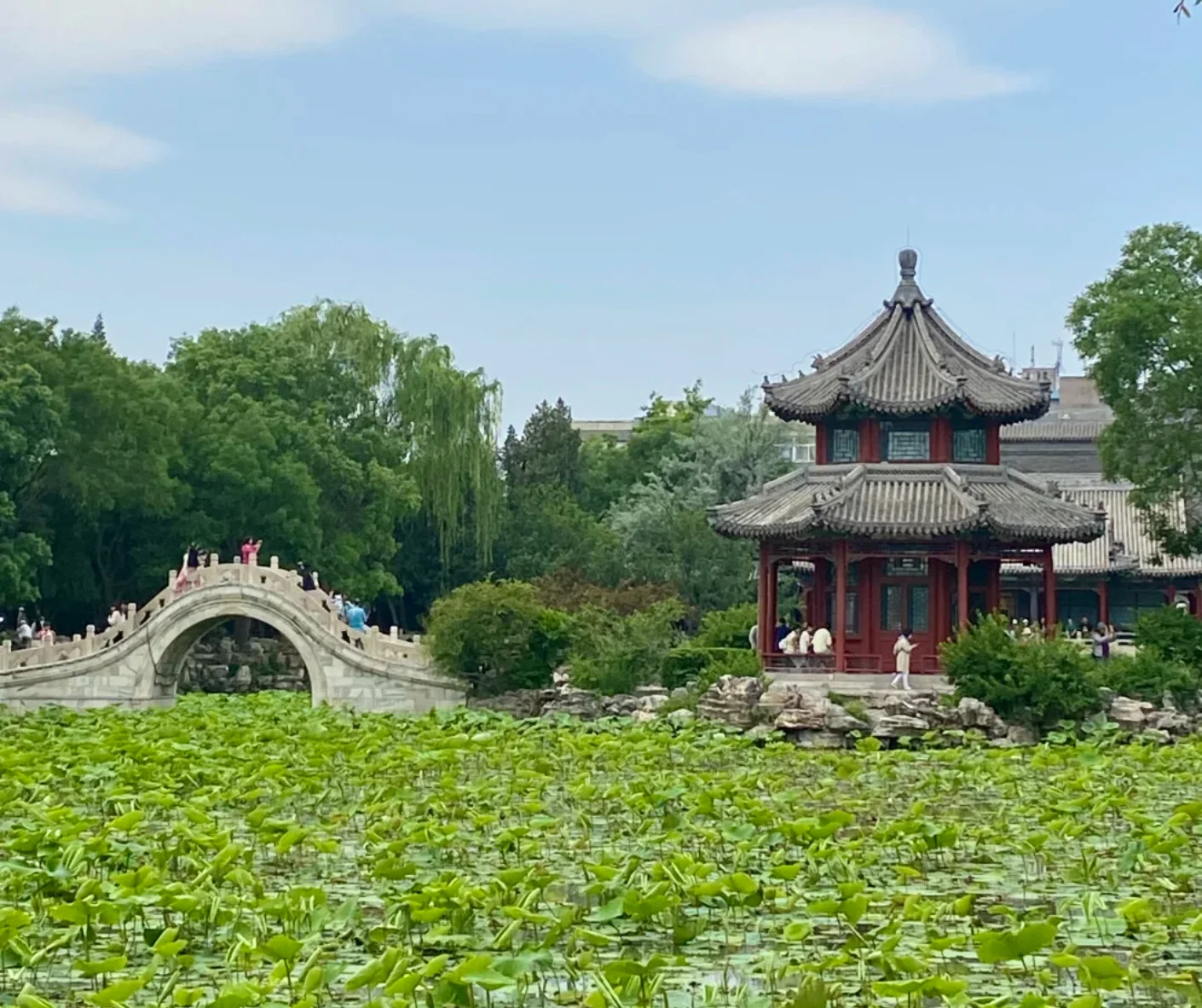 Experience Tranquility at Baoding’s Baoding Ancient Lotus Pool Travel Tips Inside