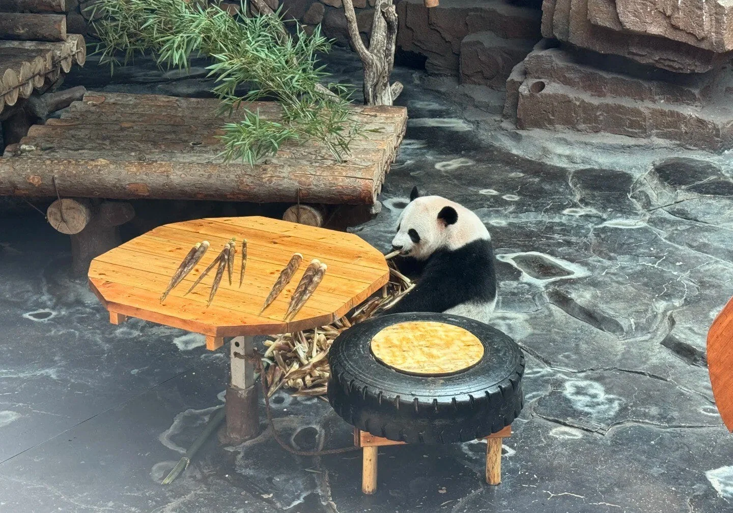 Jinan Wildlife World The Ultimate Family-Friendly Experience