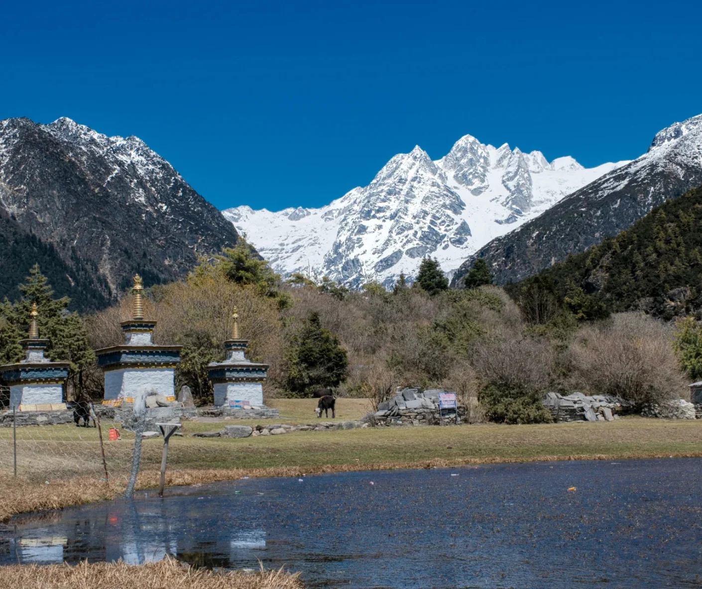 Visit Jilong Creek Essential Guide for First-Time Travelers