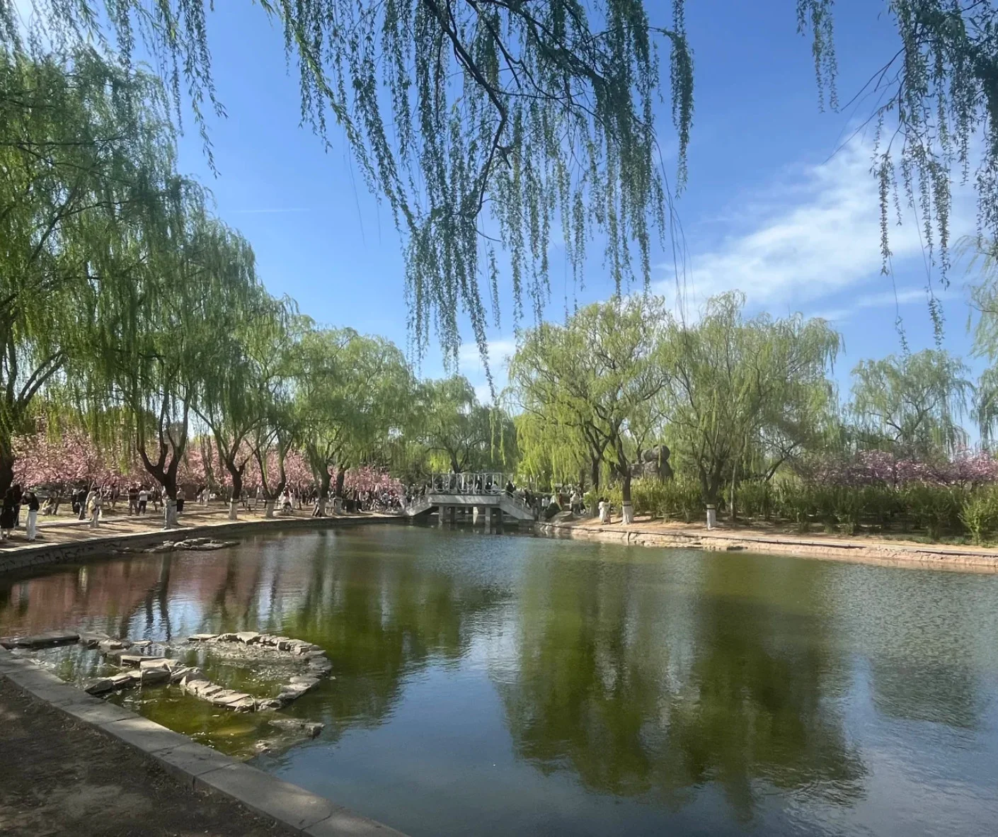Making the Most of Your Shijiazhuang Botanical Garden Experience