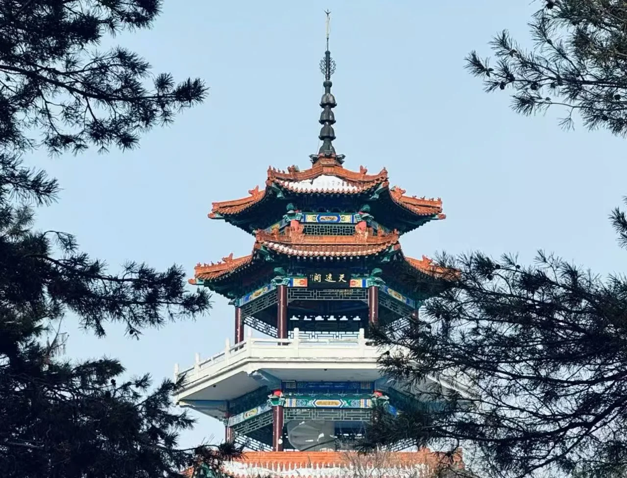 Explore Qiqihar and Longsha Wetland Park with This Ultimate Travel Guide