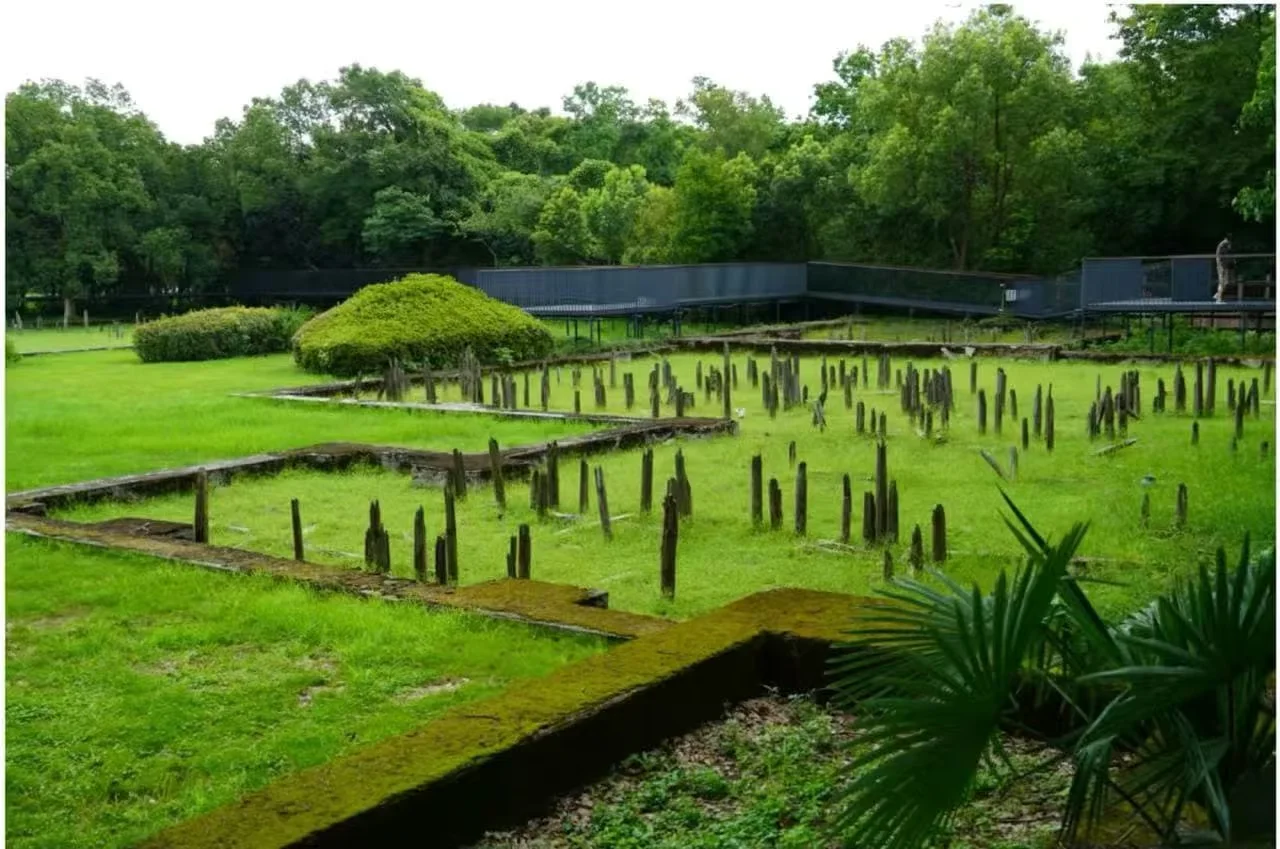 Top Tips for Exploring the Hemudu Site Museum in 2026