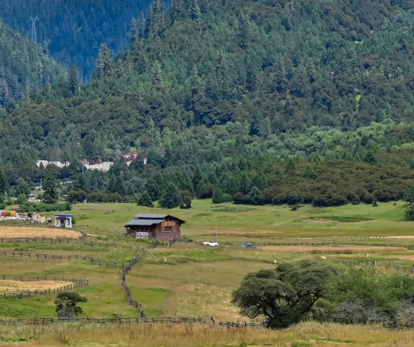 2026 Lulang Forest Guide for First-Time Visitors