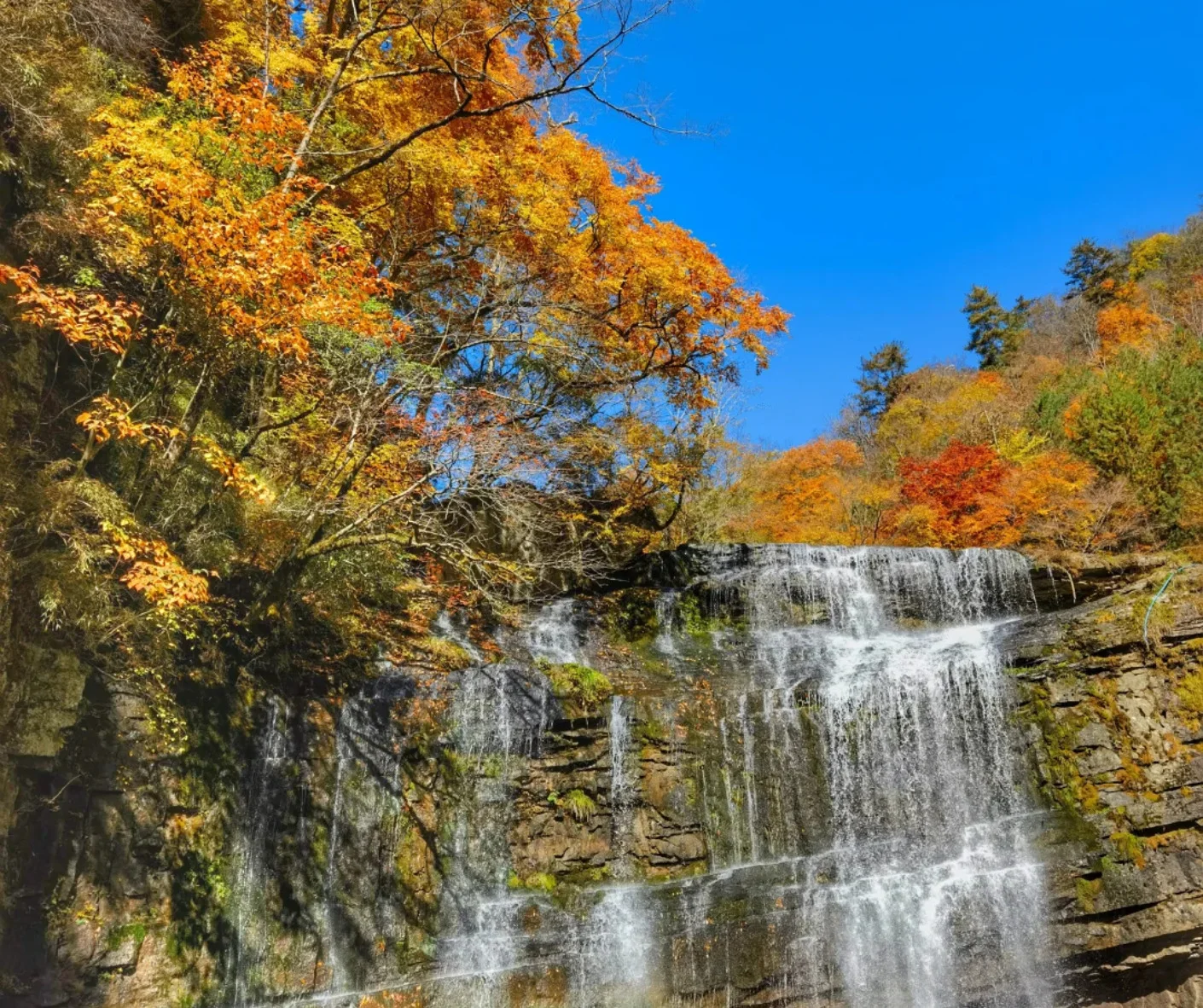 Liping Forest Park in Hanzhong: recommended itinerary and insider tips