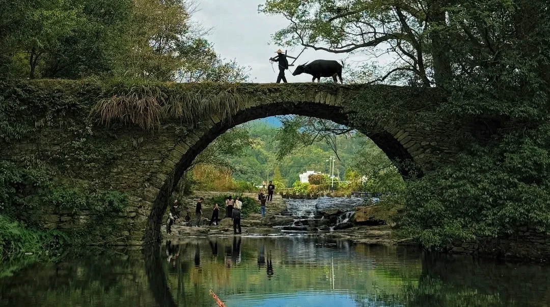 Wuyuan Ancient Villages Travel Guide for New Visitors
