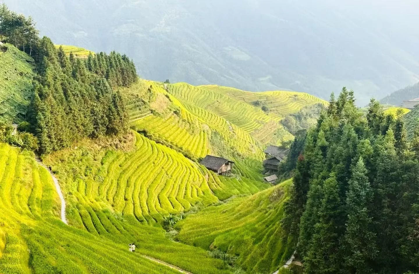 Best Routes and Tips for Visiting Longji Rice Terraces from Guilin