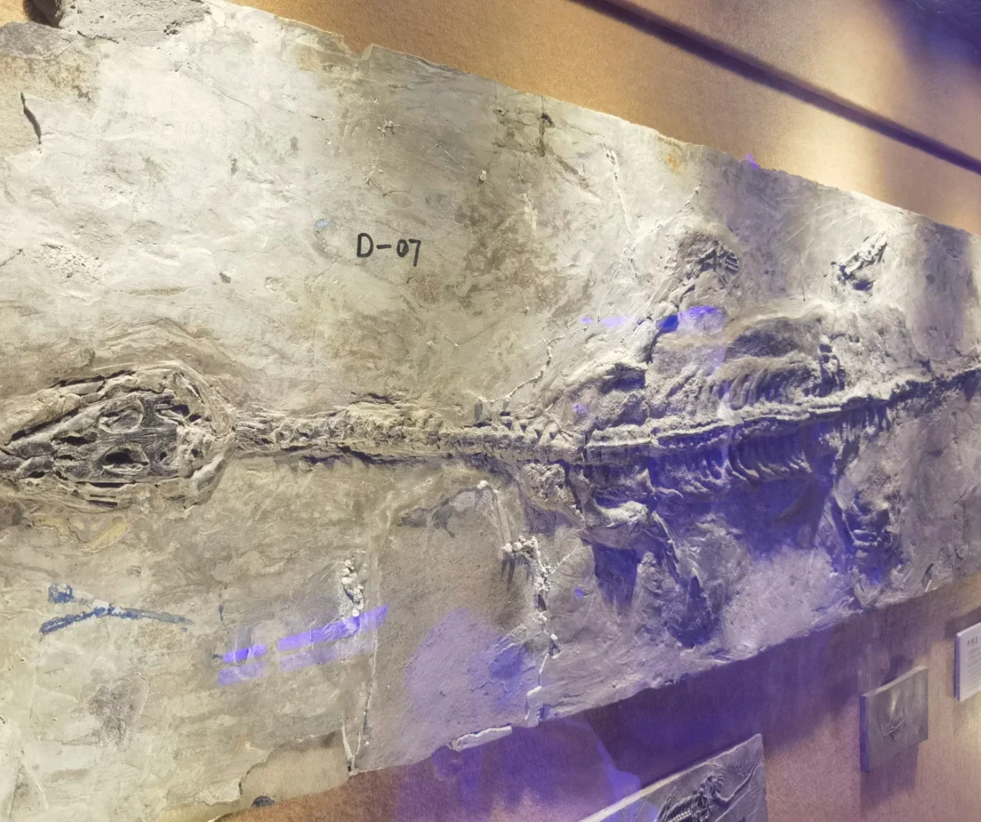 Family-Friendly Guide to China Dinosaur Park