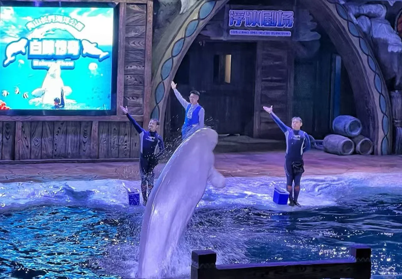 3 Simple Ways to Buy Zhoushan Changqiao Ocean Park Tickets in 2026