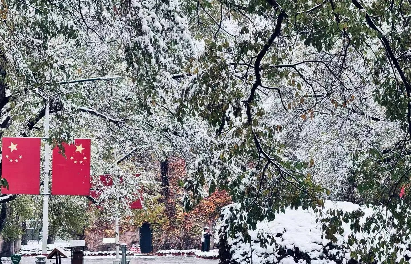Heilongjiang’s Hidden Gem: How to Enjoy Saertu Forest Park in Daqing