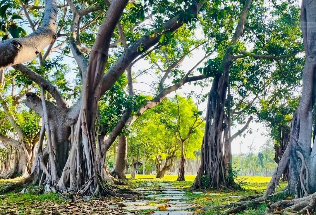 Discover Haikou Evergreen Park: Complete Visitor’s Guide