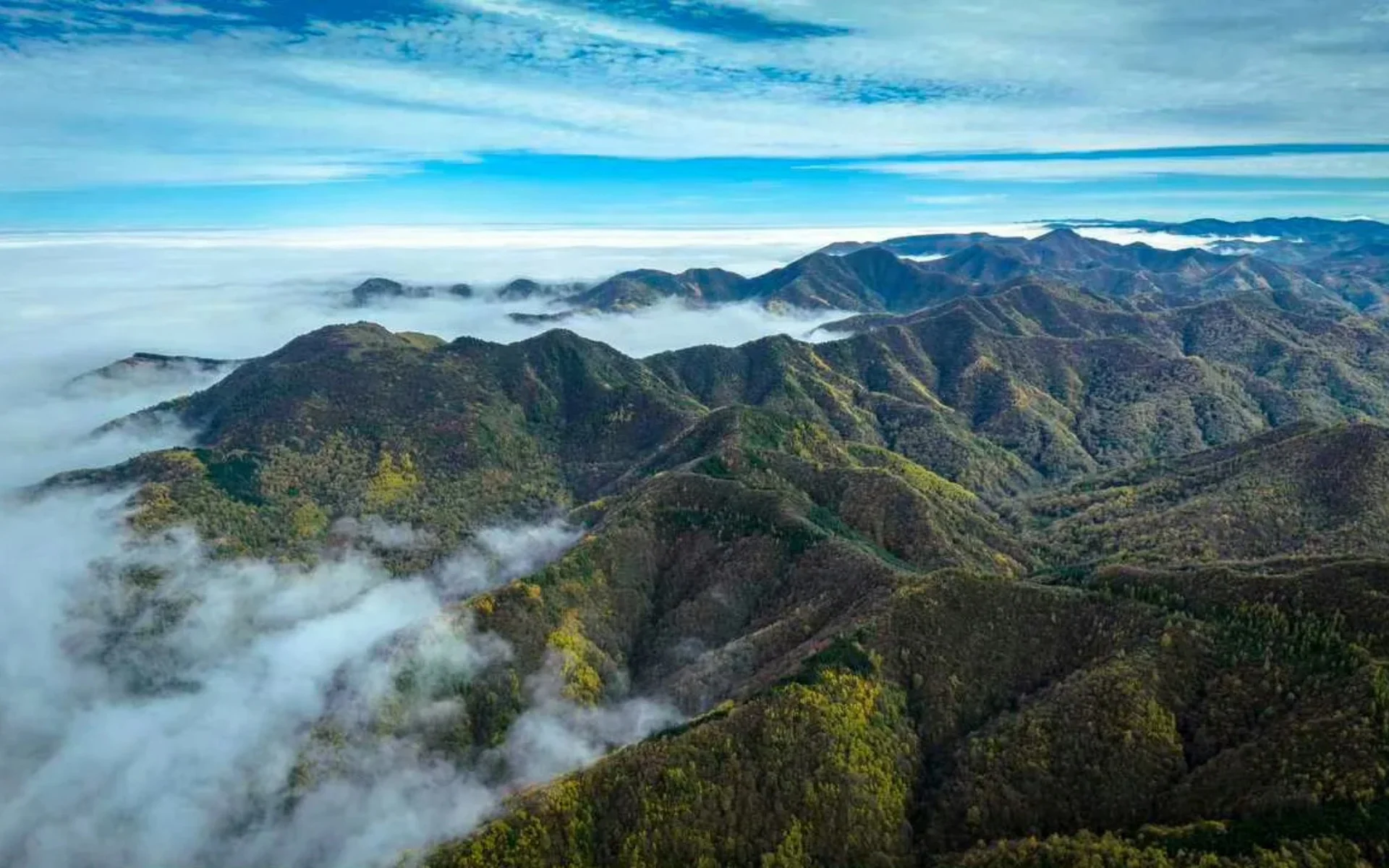 Traveling to Liupan Mountain What Every Visitor Should Know