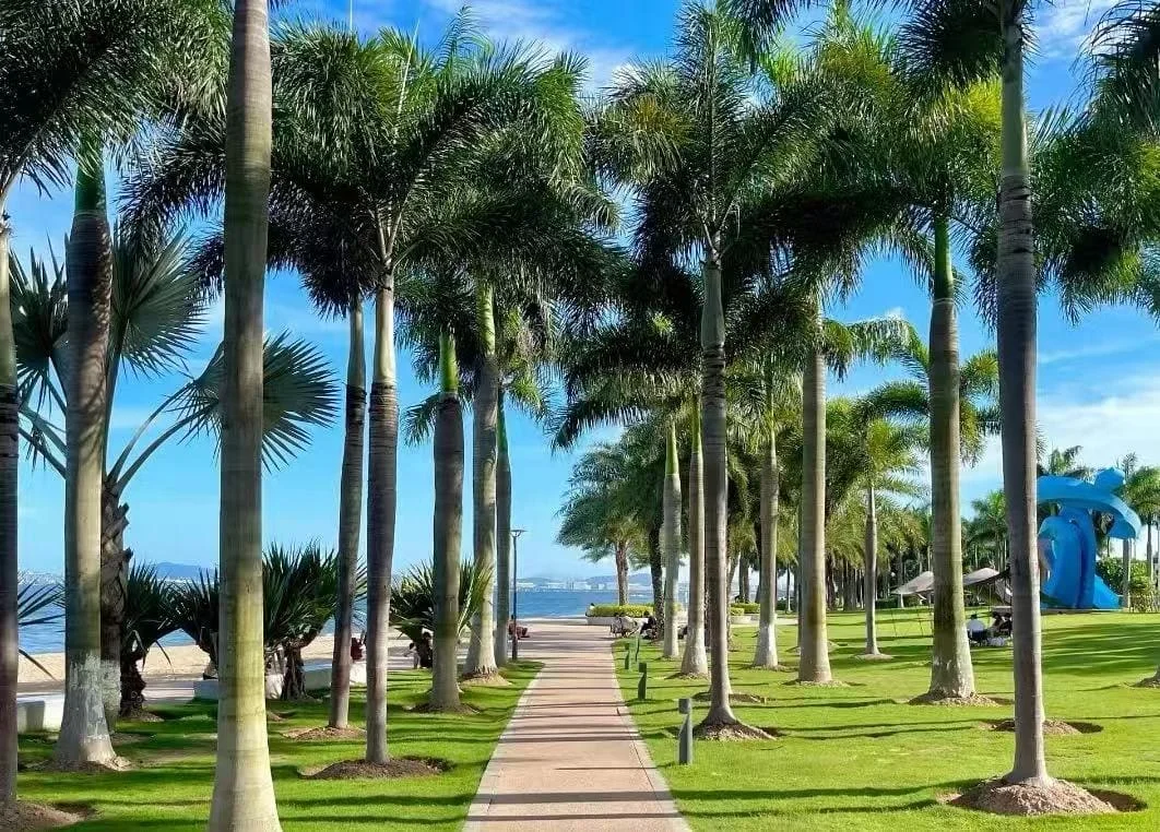 Tips for Biking and Walking Xiamen Island Ring Road