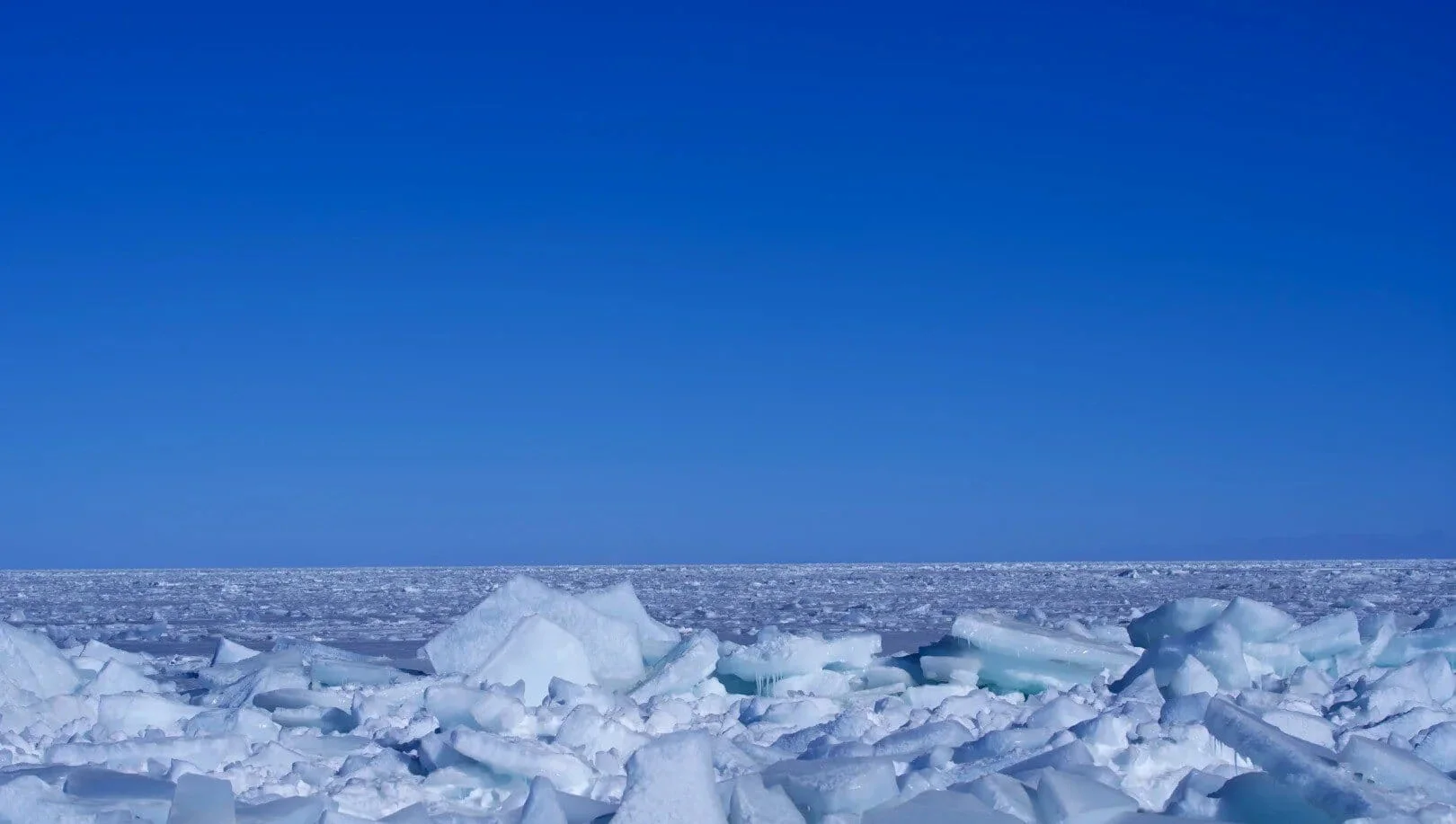 How to Explore Qinghai Lake Like a Local