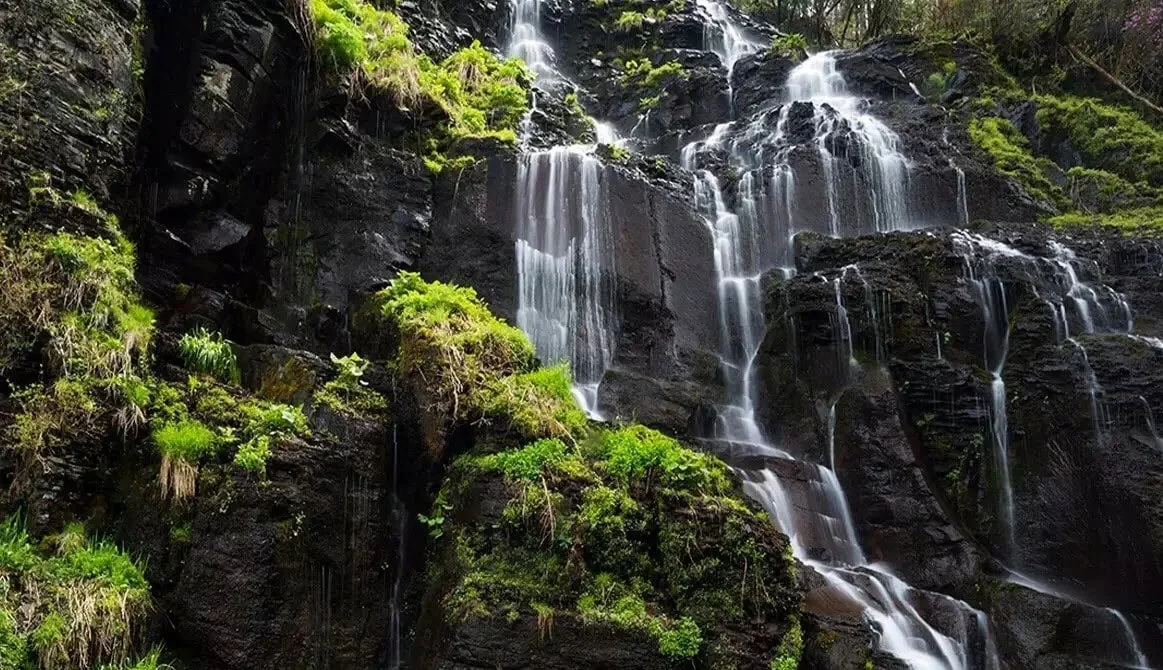 Family-Friendly Travel Guide to Lushuihe National Forest Park