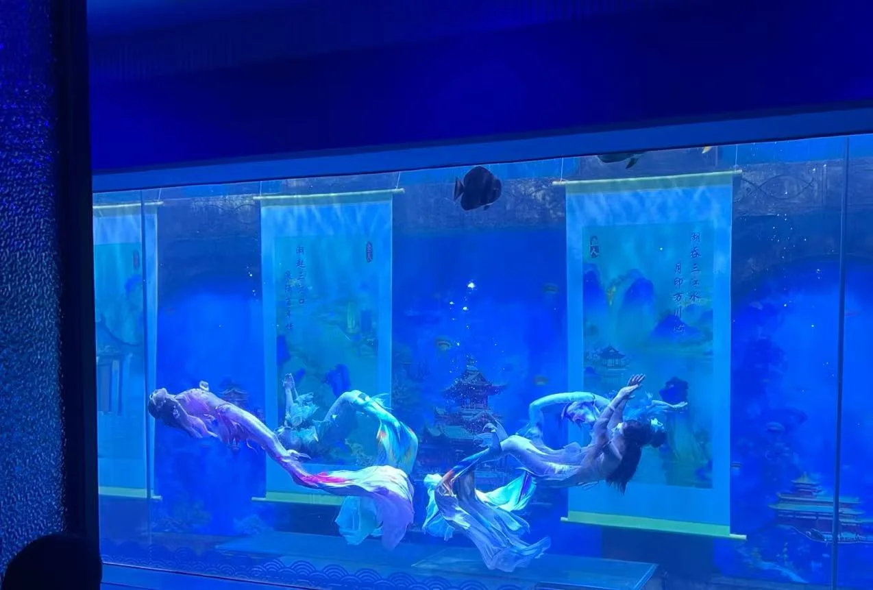 Discover Ningbo Ocean World with This Ultimate Visitor Guide