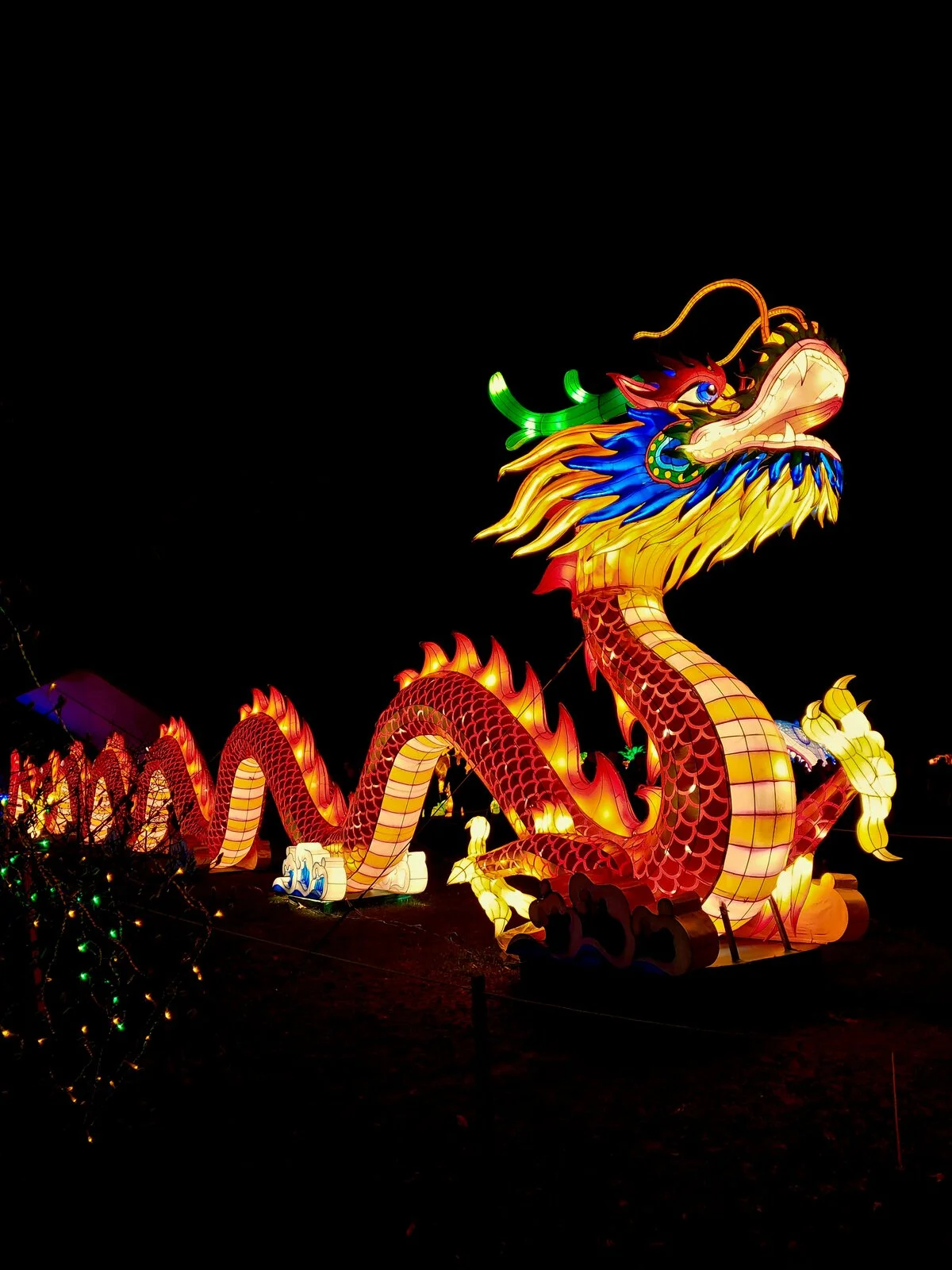 Discover the Magic of Chinese New Year 2025