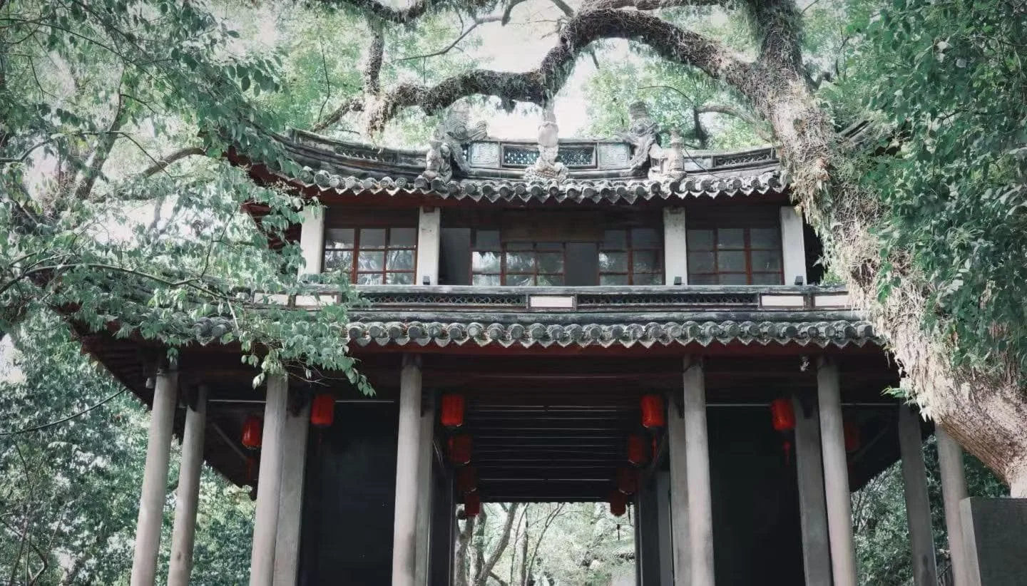 Ningbo Fenghua Xikou Ancient Town Travel Tips Every Visitor Should Know