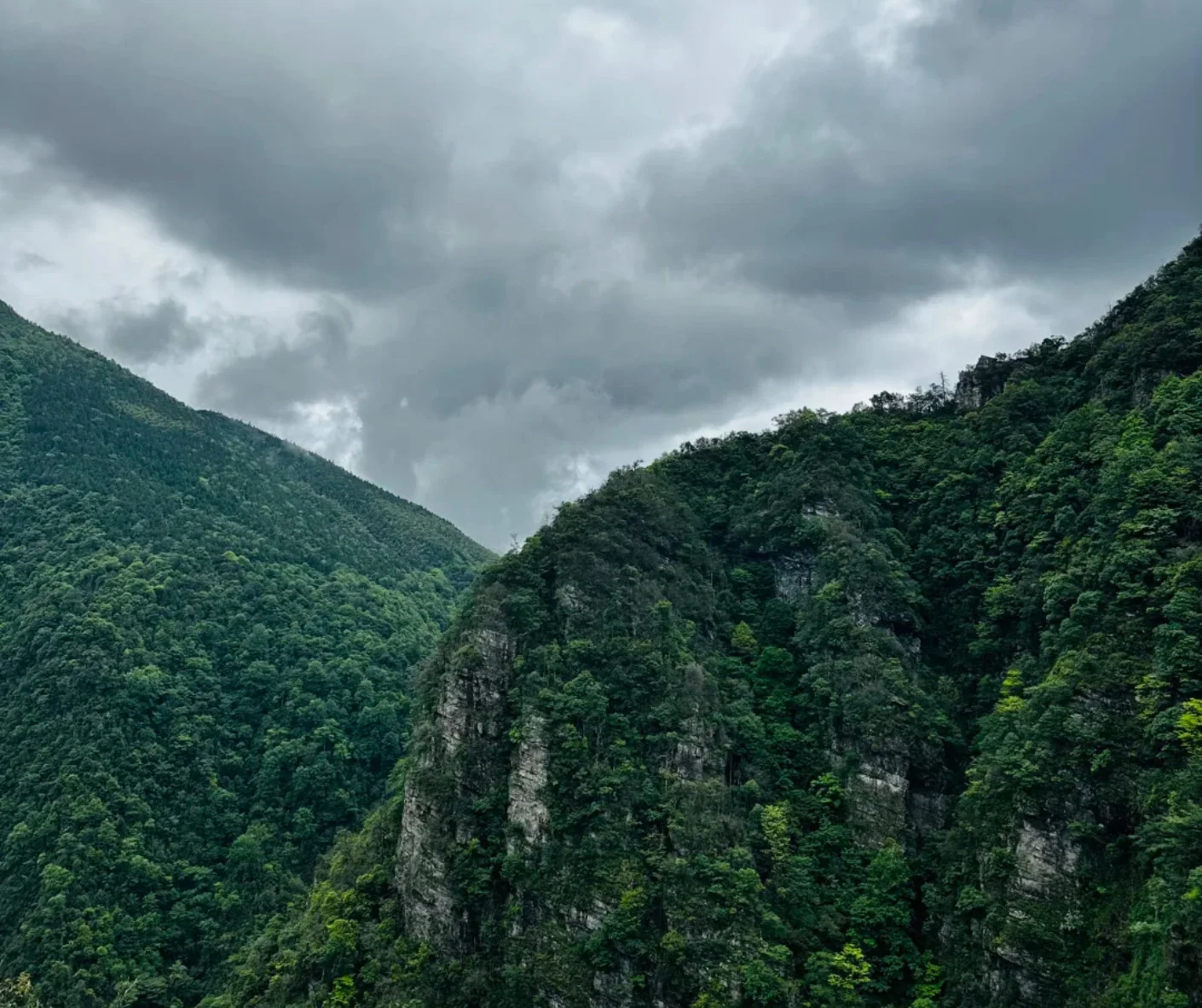 Jinggangshan National Park Hiking Guide for Outdoor Enthusiasts