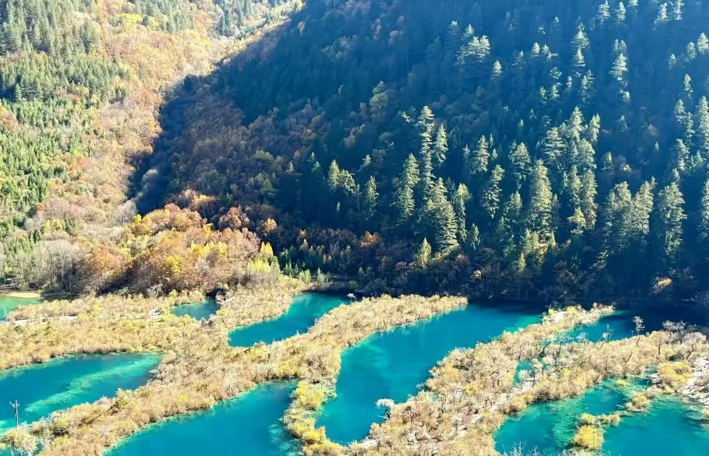 Your Complete Guide to Traveling from Chengdu to Jiuzhaigou