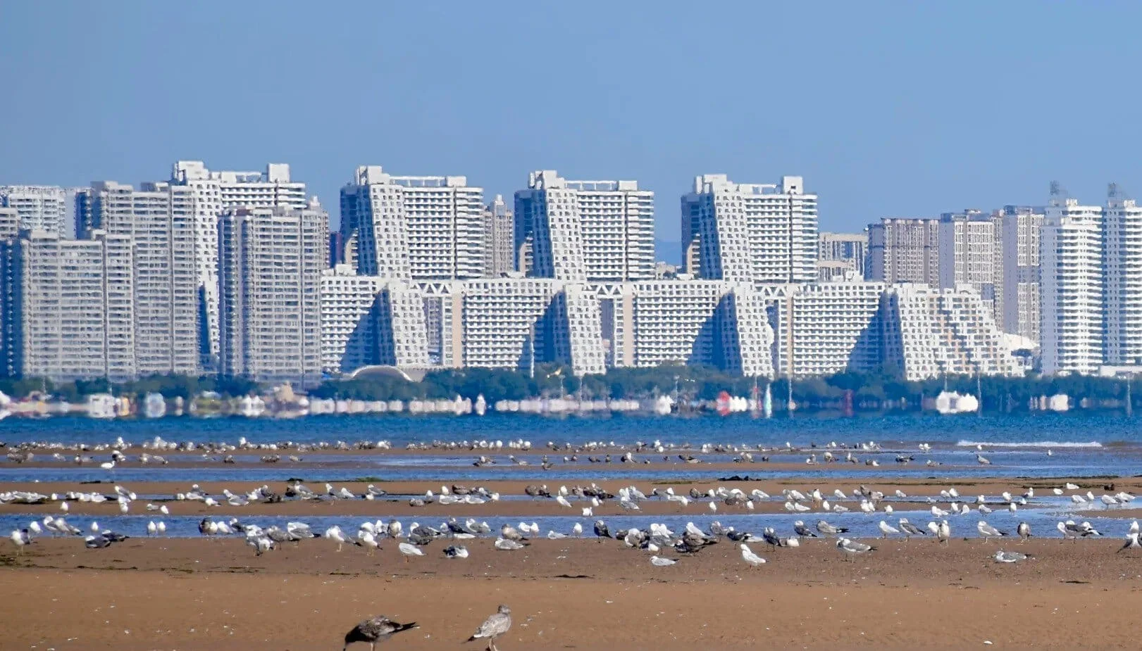3 must-know tips for Qinhuangdao Pigeon Nest Park visitors
