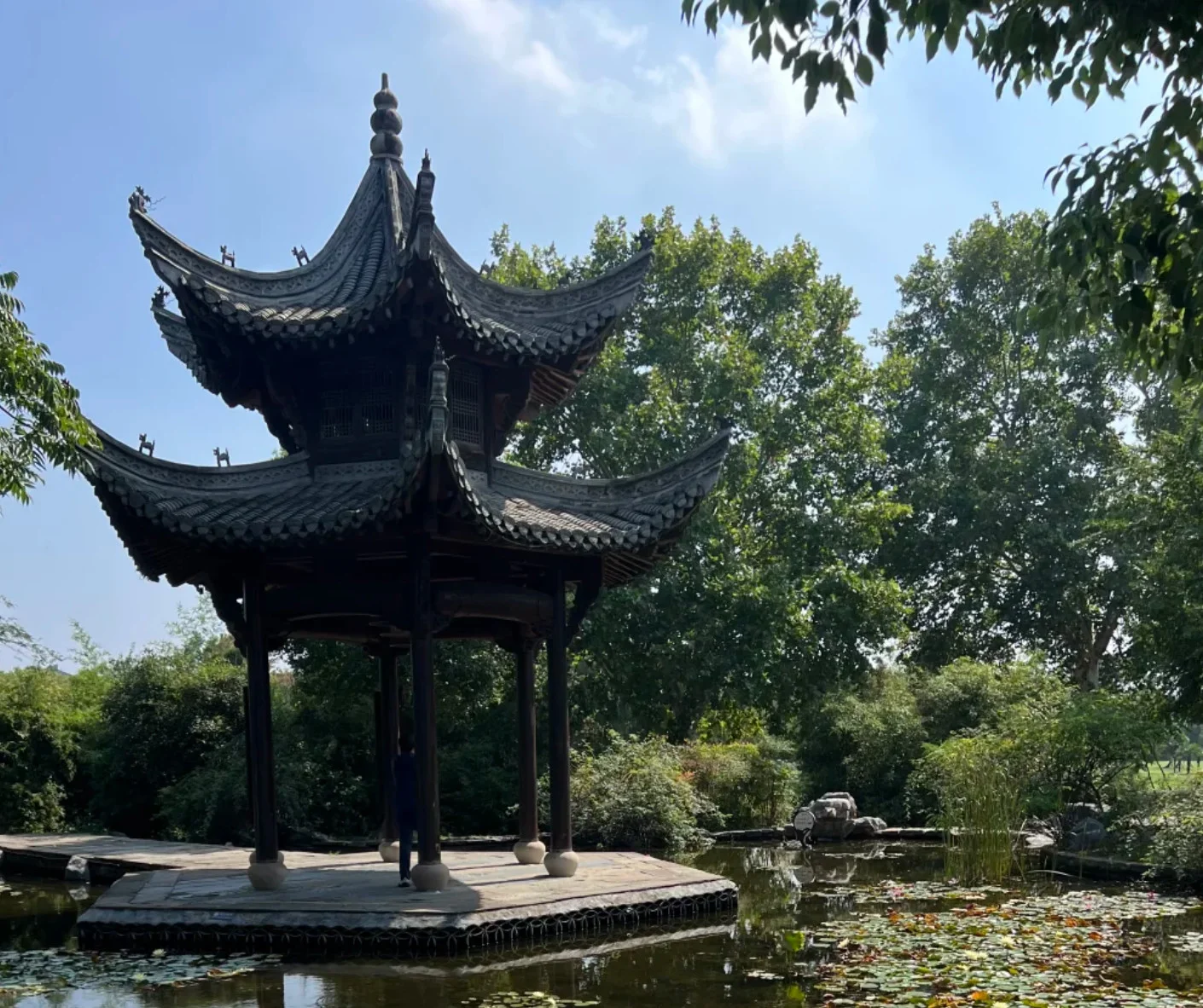 Top Things to Do in Shushan Forest Park for Nature Lovers