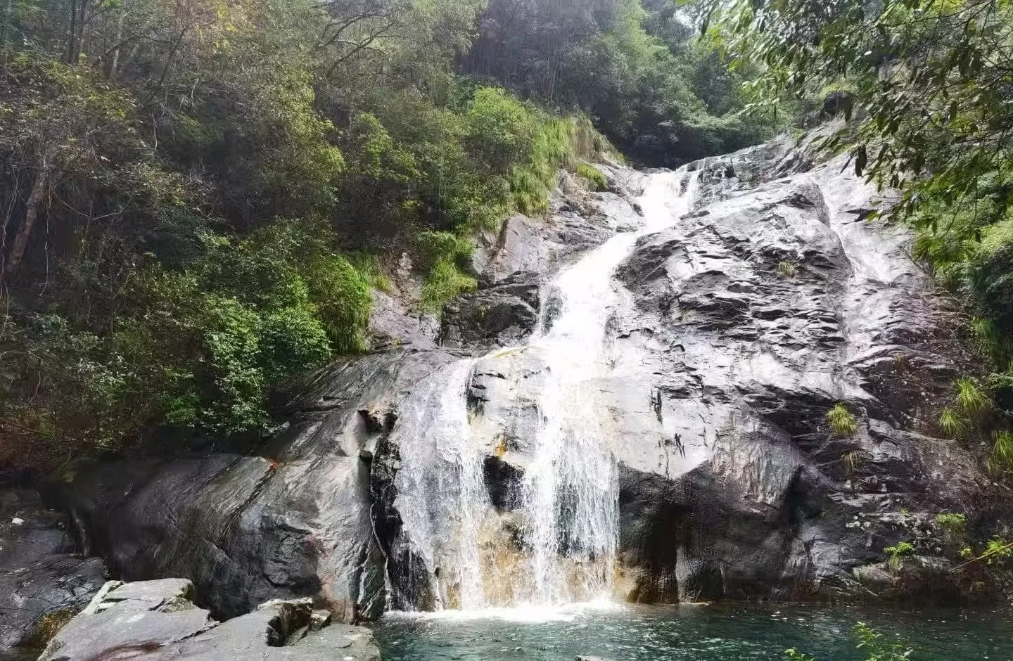 Wenzhou Huayan National Forest Park Entry Fees and Booking Guide
