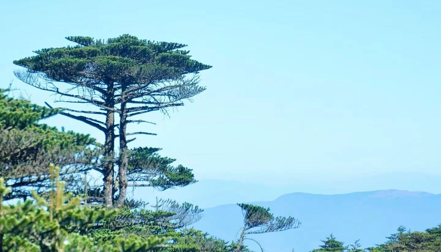 Hiking Adventures on Dali Cangshan Mountain