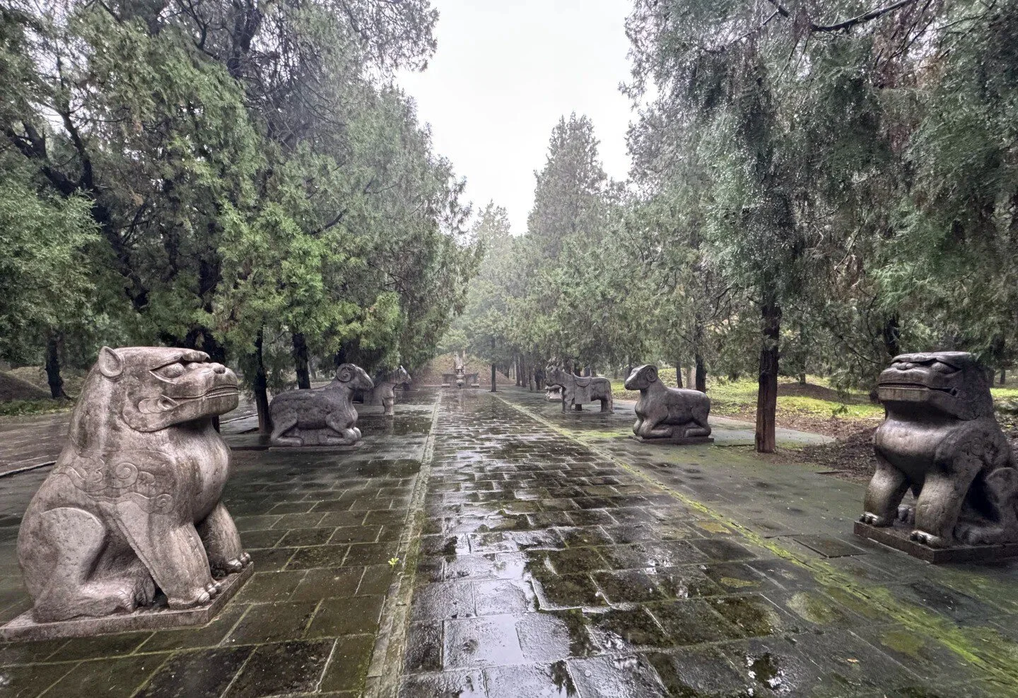 Qufu Confucius Forest Cemetery Must-See Highlights and Advice