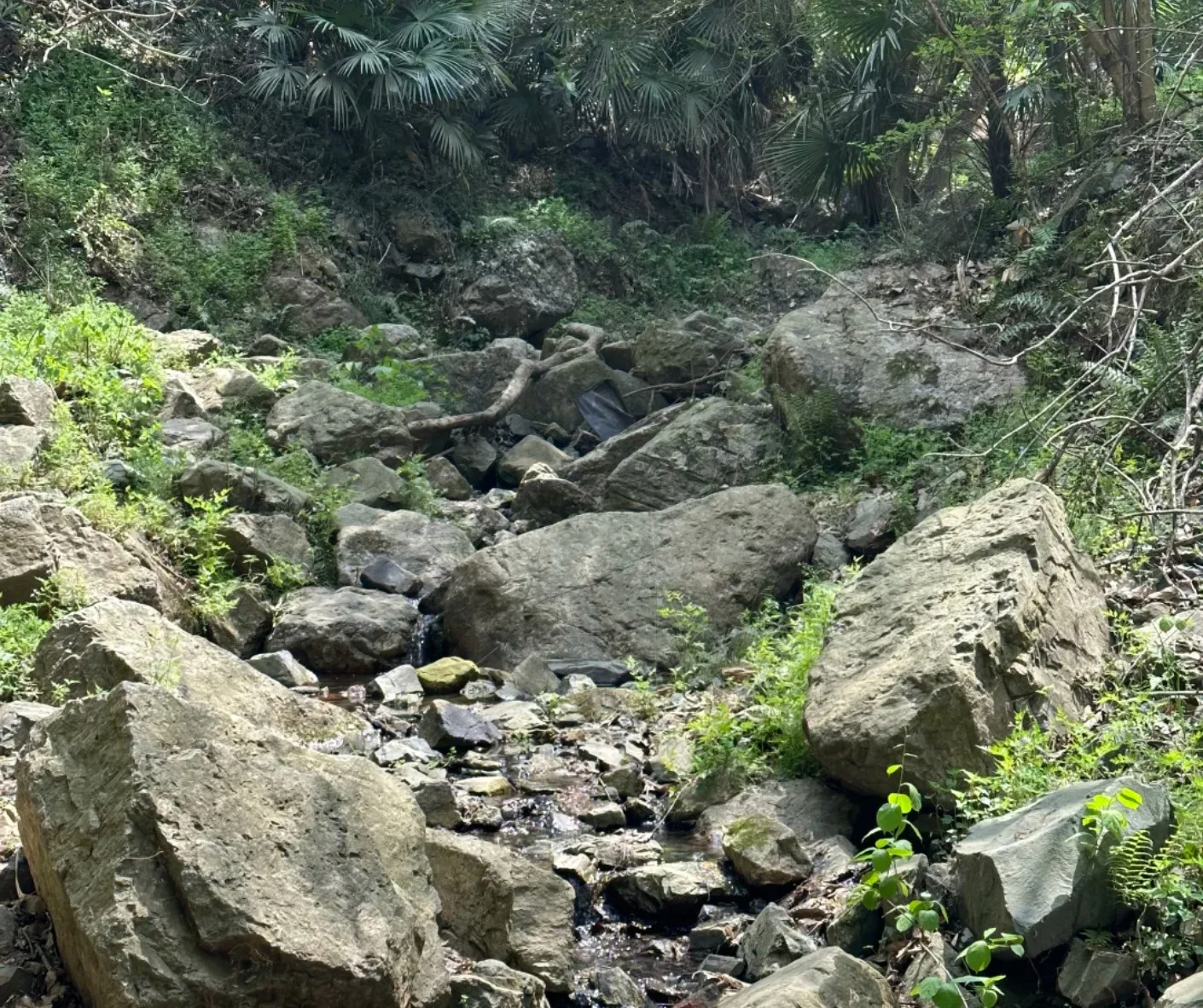 Beginner’s Guide to Hiking Purple Mountain in Nanjing