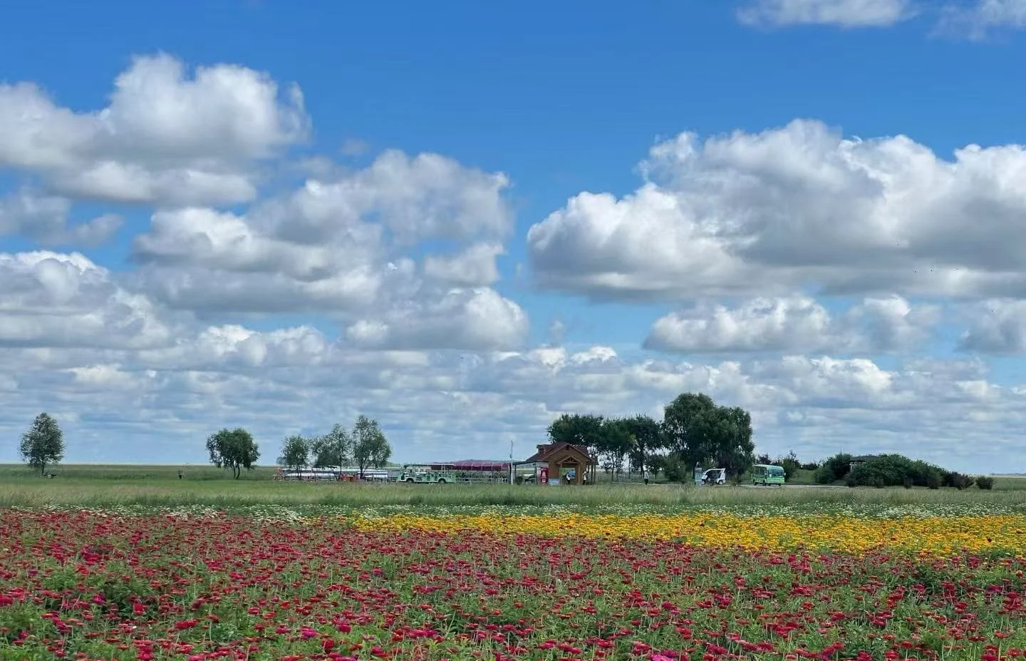 3 Simple Steps for Heilongjiang Zhalong Nature Reserve Museum Tours