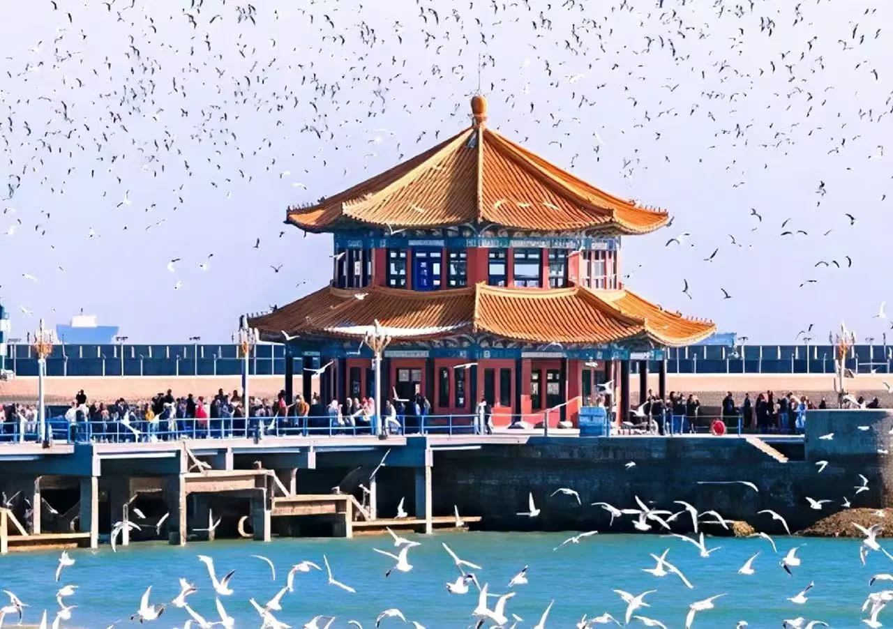 Walking Zhanqiao Pier to Huilan Pavilion: Qingdao’s Classic Experience
