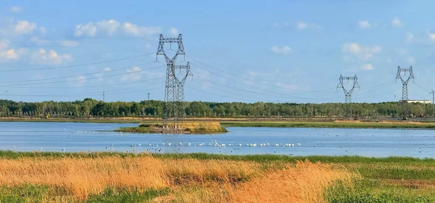 Heilongjiang Longfeng Wetland Park Top 3 Outdoor Activities