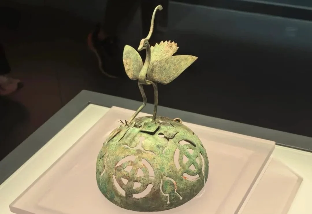 Your Guide to Exploring Qinghai Provincial Museum