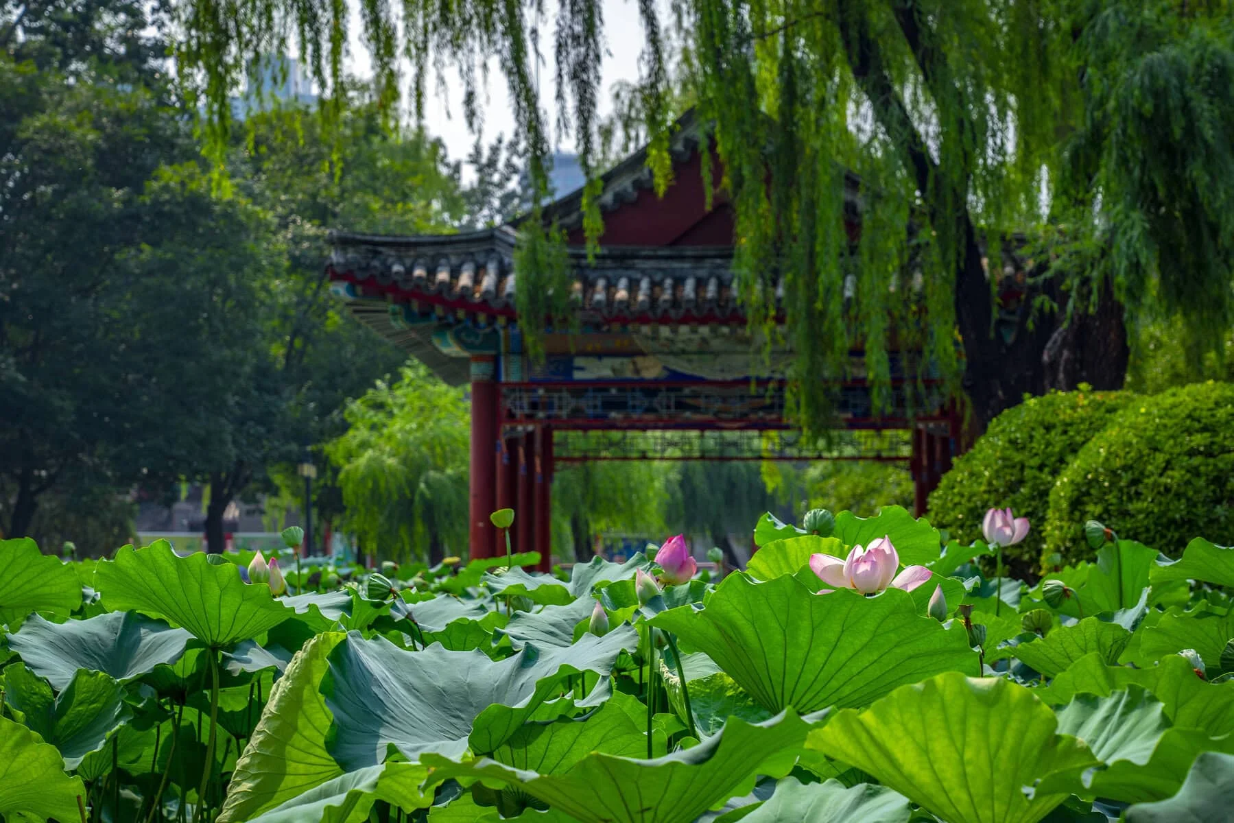 Best Time to Visit China 2025: A Month-by-Month Guide