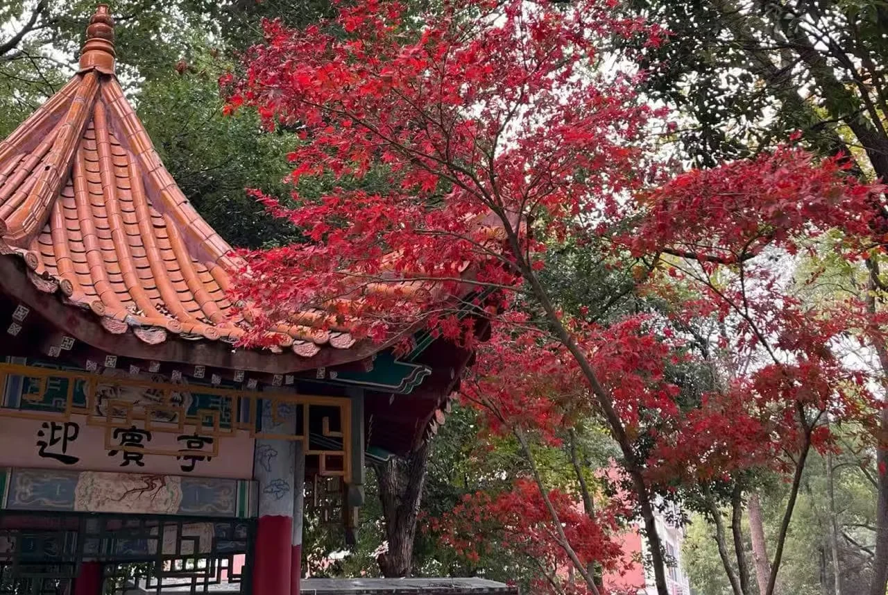 How to Enjoy Walking and Running at Changsha Xingsha Ecological Park