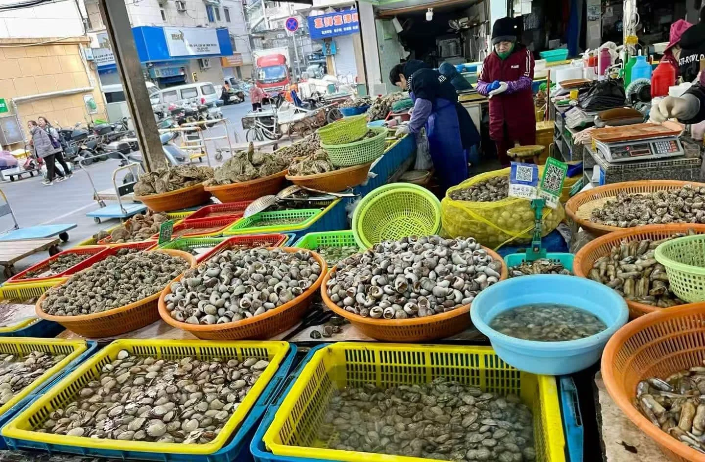 Essential Guidelines for Safe Seafood Shopping at Zhoushan Donghe Market