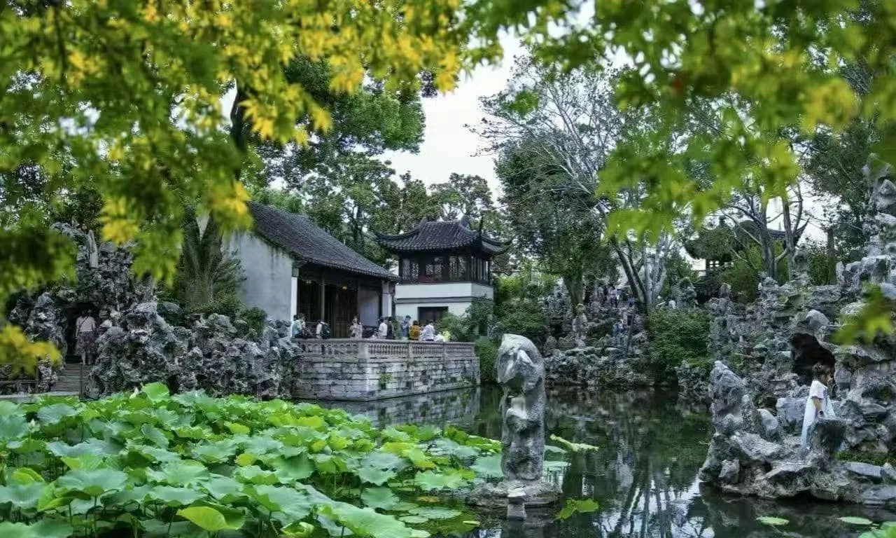 Your Essential Guide to Suzhou Lion Grove Garden