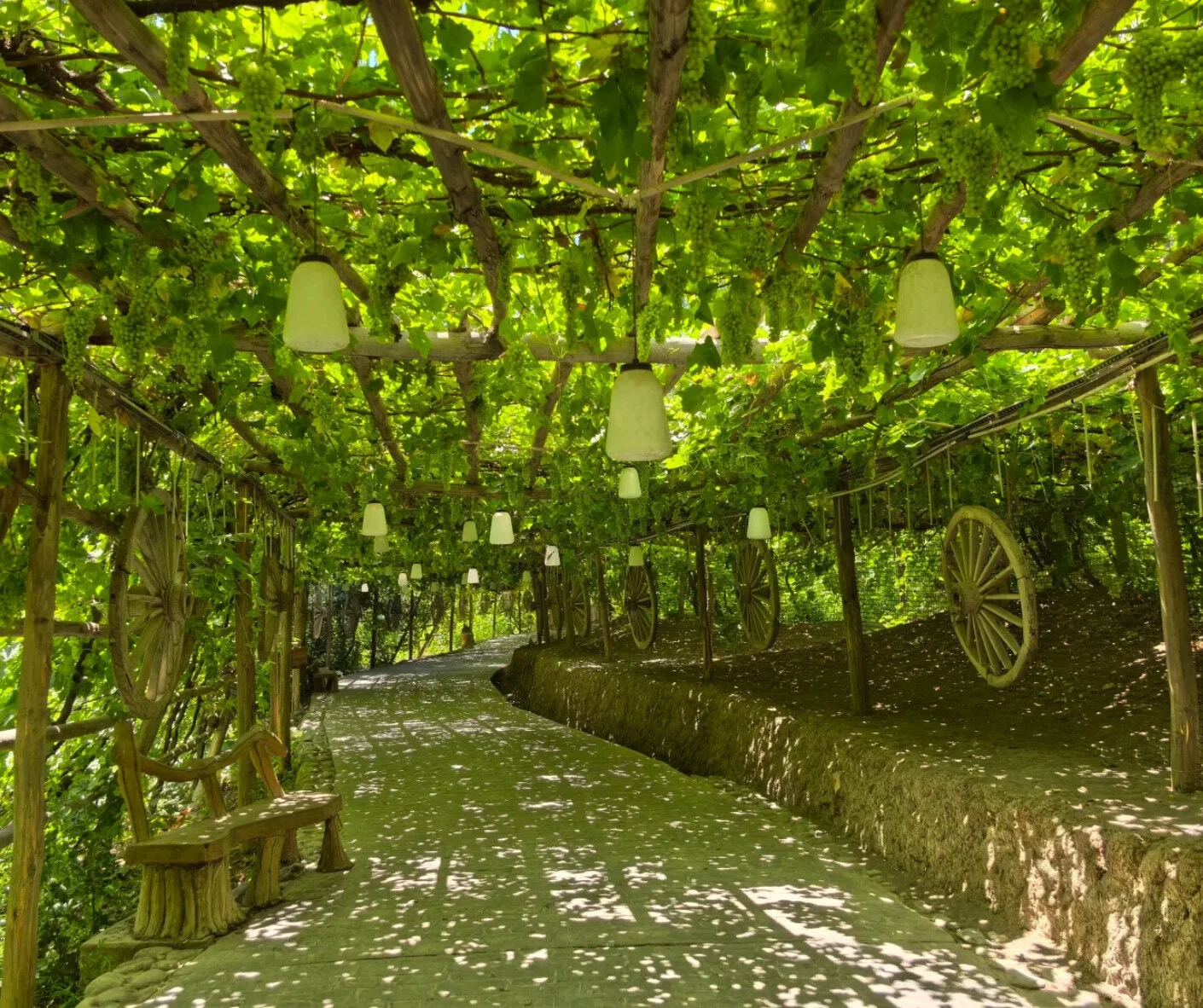 Your Essential Guide to Visiting Turpan Grape Valley