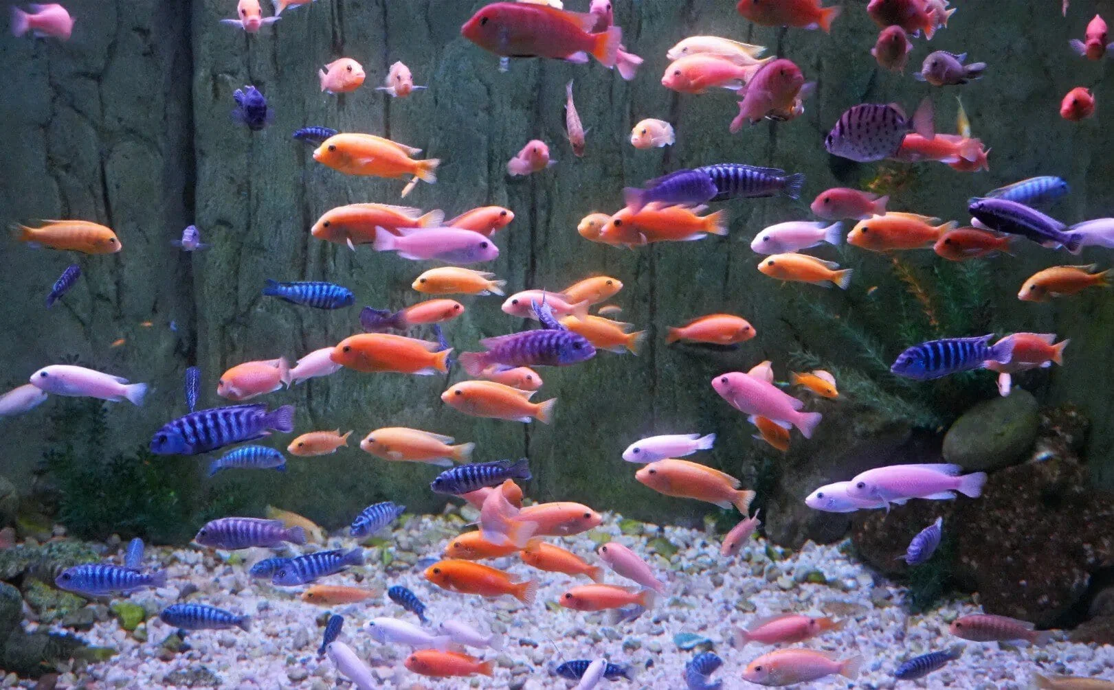 Family-Friendly Tips for Yantai Polar Ocean Park
