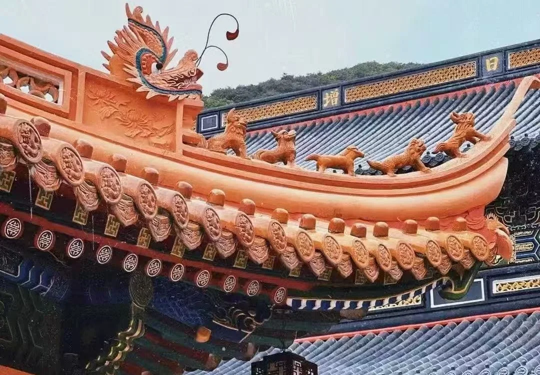 Visiting Zhoushan Huiji Temple: Essential Travel Tips
