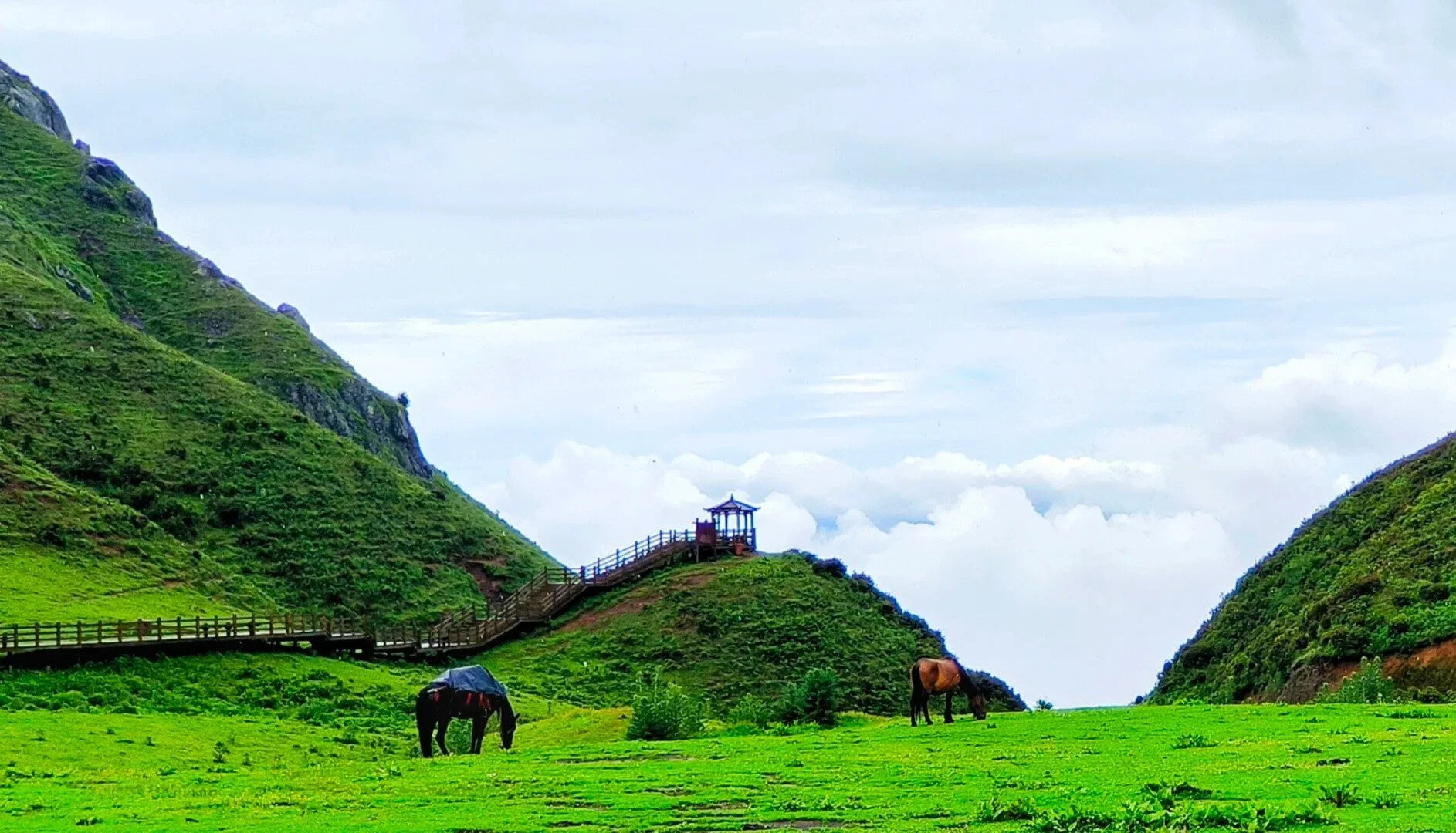 How to Plan the Perfect Trip to Liupanshui Wumeng Prairie